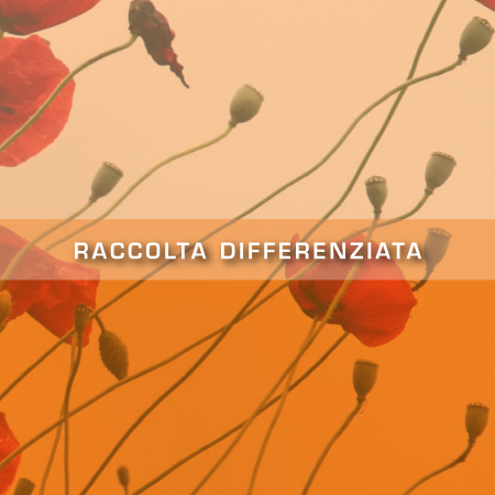 Raccolta differenziata