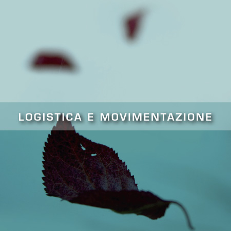 Logistica e movimentazione